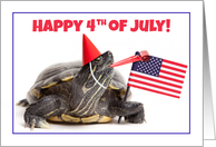 Happy Fourth of July For Anyone Cute Turtle Humor card