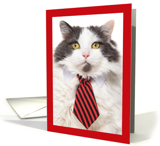 Happy Father's Day Big Cat in Tie Humor card (1569898)