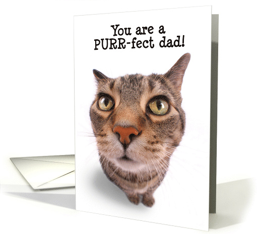 Happy Father's Day Cute Tabby Cat Humor card (1570372)