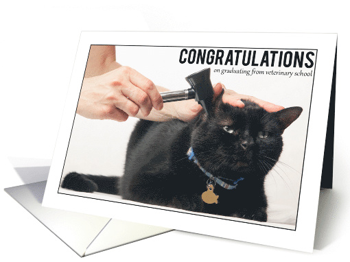 Congratulations on Graduating Veterinary School Cat Exam card