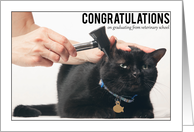 Congratulations on Graduating Veterinary School Cat Exam card