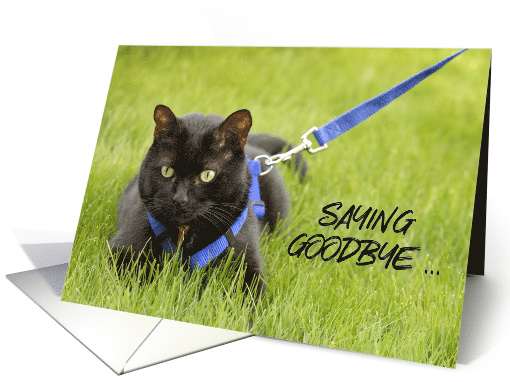 You Will Be Missed Cat on Leash Humor card (1571654)