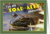 Congratulations You Are Toad-ally Awesome Humor card