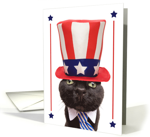 Happy Fourth of July Funny Cat in Patriotic Hat Humor card (1572480)