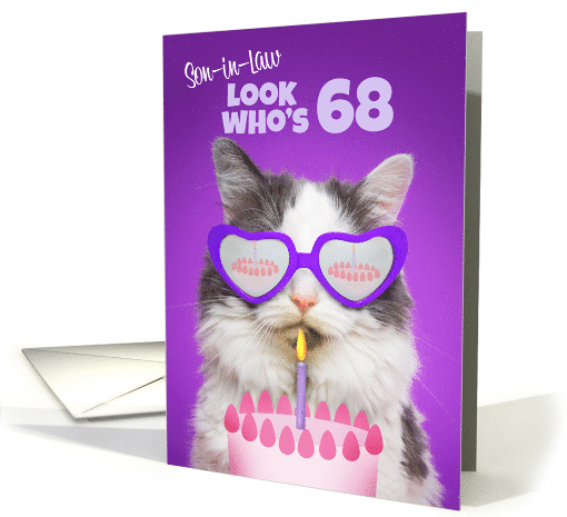 Happy 68th Birthday Son-in-Law Cute Cat With Cake Humor card (1572916)