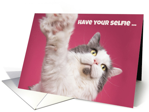 Happy Birthday For Anyone Cat Selfie Humor card (1573146)