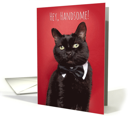 Happy Birthday Handsome Cat in Bow Tie Humor card (1573190)