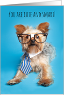 Happy Birthday For Anyone Cute and Smart Yorkshire Terrier Humor card