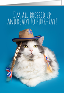 Happy Birthday Funny Cat in Cowboy Hat Humor card