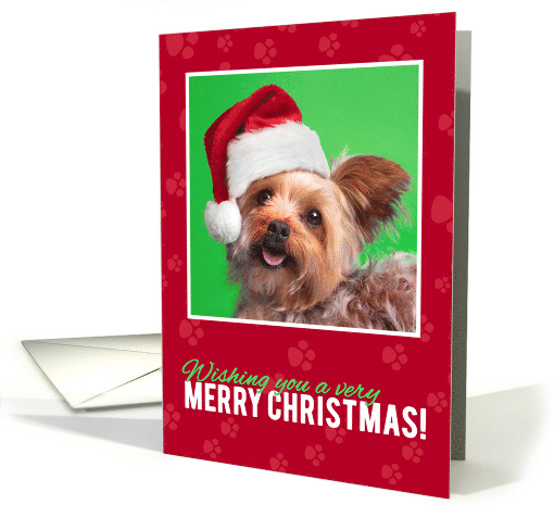 Merry Christmas for Anyone Cute Yorkie in Santa Hat card (1575082)