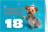 Happy 18th Birthday Yorkie in a Party Hat Humor card