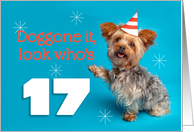 Happy 17th Birthday Yorkie in a Party Hat Humor card