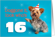 Happy 16th Birthday Yorkie in a Party Hat Humor card