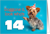 Happy 14th Birthday Yorkie in a Party Hat Humor card