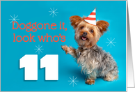 Happy 11th Birthday Yorkie in a Party Hat Humor card