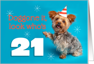 Happy 21st Birthday Yorkie in a Party Hat Humor card