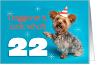 Happy 22nd Birthday Yorkie in a Party Hat Humor card