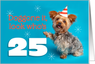 Happy 25th Birthday Yorkie in a Party Hat Humor card