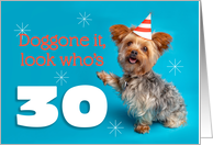 Happy 30th Birthday Yorkie in a Party Hat Humor card