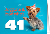 Happy 41st Birthday Yorkie in a Party Hat Humor card