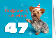Happy 47th Birthday Yorkie in a Party Hat Humor card