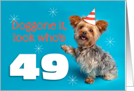 Happy 49th Birthday Yorkie in a Party Hat Humor card