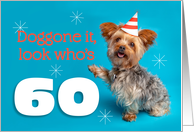 Happy 60th Birthday Yorkie in a Party Hat Humor card
