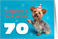 Happy 70th Birthday Yorkie in a Party Hat Humor card