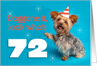 Happy 72nd Birthday Yorkie in a Party Hat Humor card