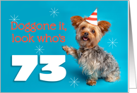 Happy 73rd Birthday Yorkie in a Party Hat Humor card