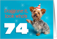 Happy 74th Birthday Yorkie in a Party Hat Humor card