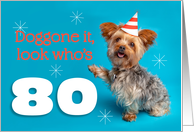 Happy 80th Birthday Yorkie in a Party Hat Humor card