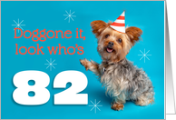 Happy 82nd Birthday Yorkie in a Party Hat Humor card