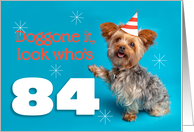 Happy 84th Birthday Yorkie in a Party Hat Humor card
