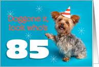 Happy 85th Birthday Yorkie in a Party Hat Humor card