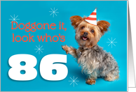Happy 86th Birthday Yorkie in a Party Hat Humor card