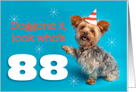 Happy 88th Birthday Yorkie in a Party Hat Humor card