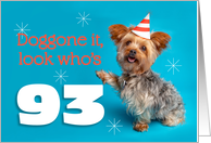 Happy 93rd Birthday Yorkie in a Party Hat Humor card