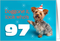 Happy 97th Birthday Yorkie in a Party Hat Humor card