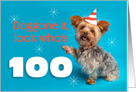 Happy 100th Birthday Yorkie in a Party Hat Humor card