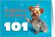 Happy 101st Birthday Yorkie in a Party Hat Humor card