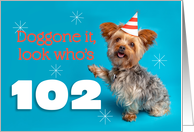 Happy 102nd Birthday Yorkie in a Party Hat Humor card