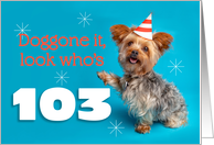 Happy 103rd Birthday Yorkie in a Party Hat Humor card