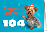 Happy 104th Birthday Yorkie in a Party Hat Humor card