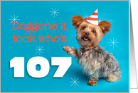 Happy 107th Birthday Yorkie in a Party Hat Humor card