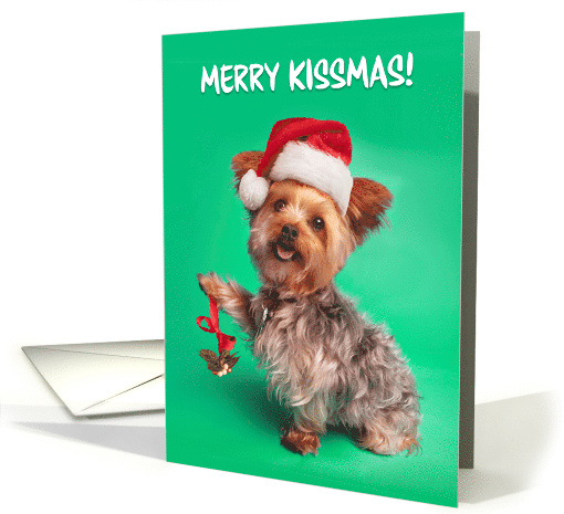 Merry Christmas Cute Yorkie With Mistletoe Humor card (1576466)