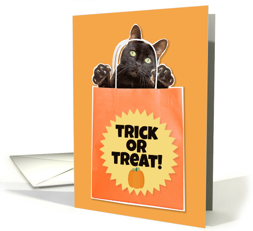 Happy Halloween For Anyone Black Cat in Bag Humor card (1576982)