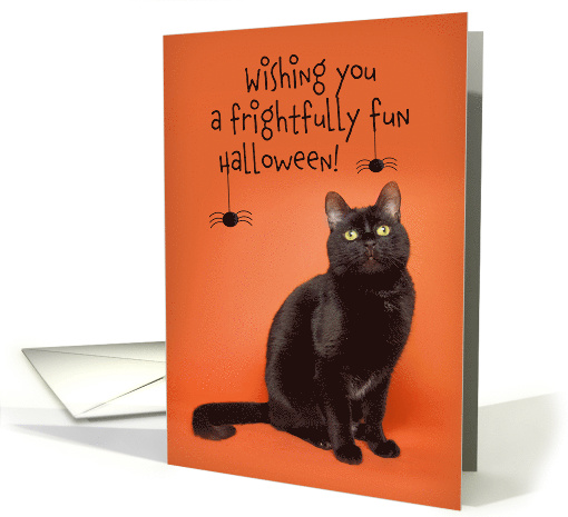 Happy Halloween For Anyone Black Cat with Spiders Humor card (1576998)