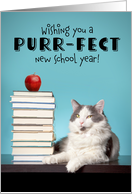 Back To School Wishes Cute Cat With Books card