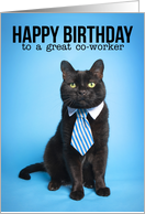 Happy Birthday Co-worker Cat in Tie Humor card